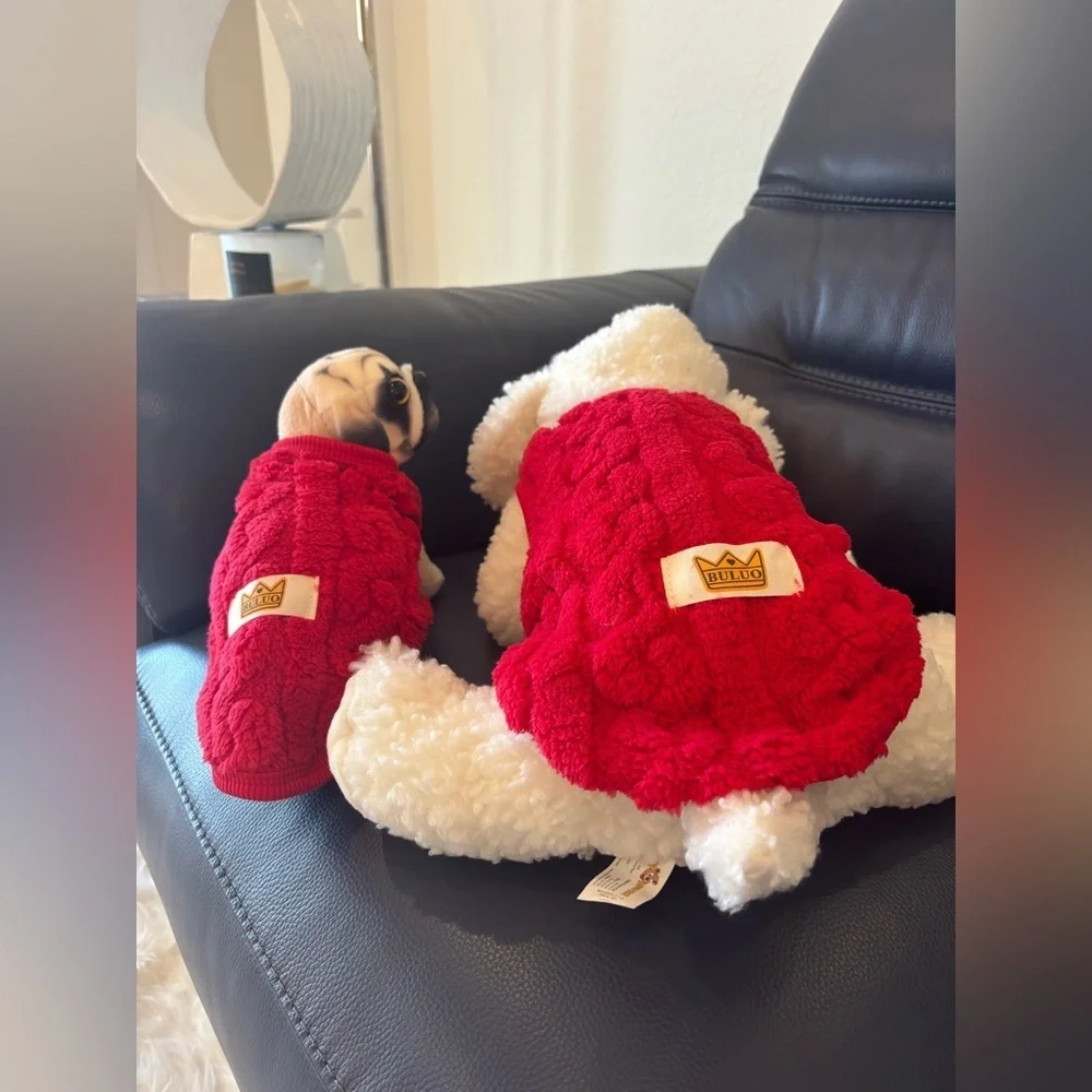 Red Cosy Knit Dog Sweater